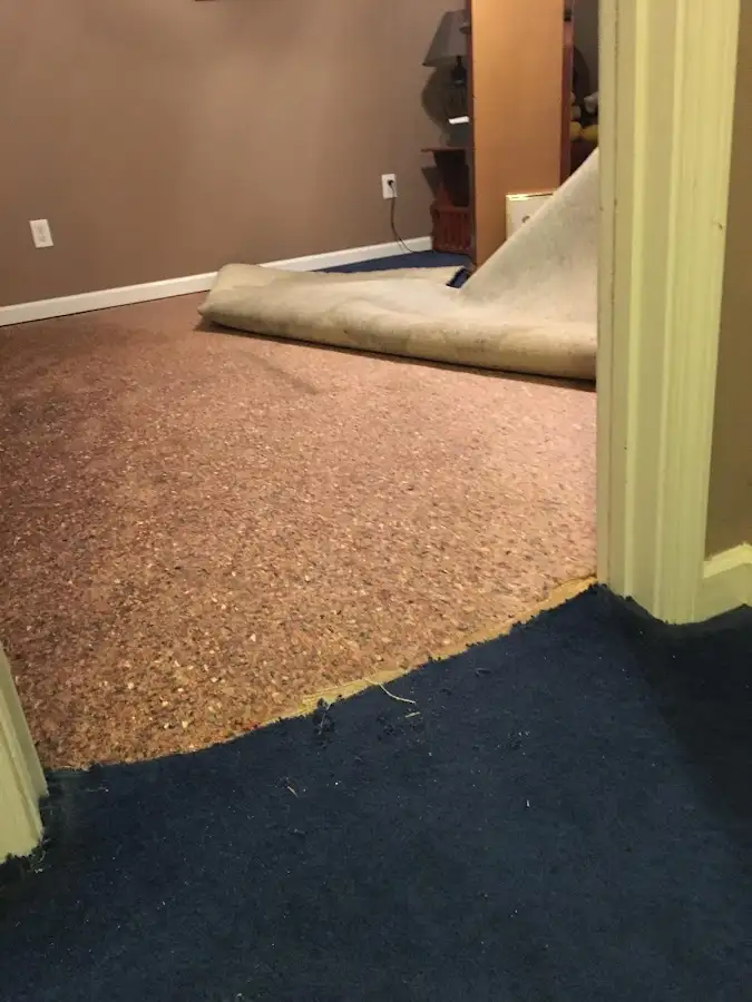 Carpet pad removal revealing water damage during Water Mitigation Services in Maltby