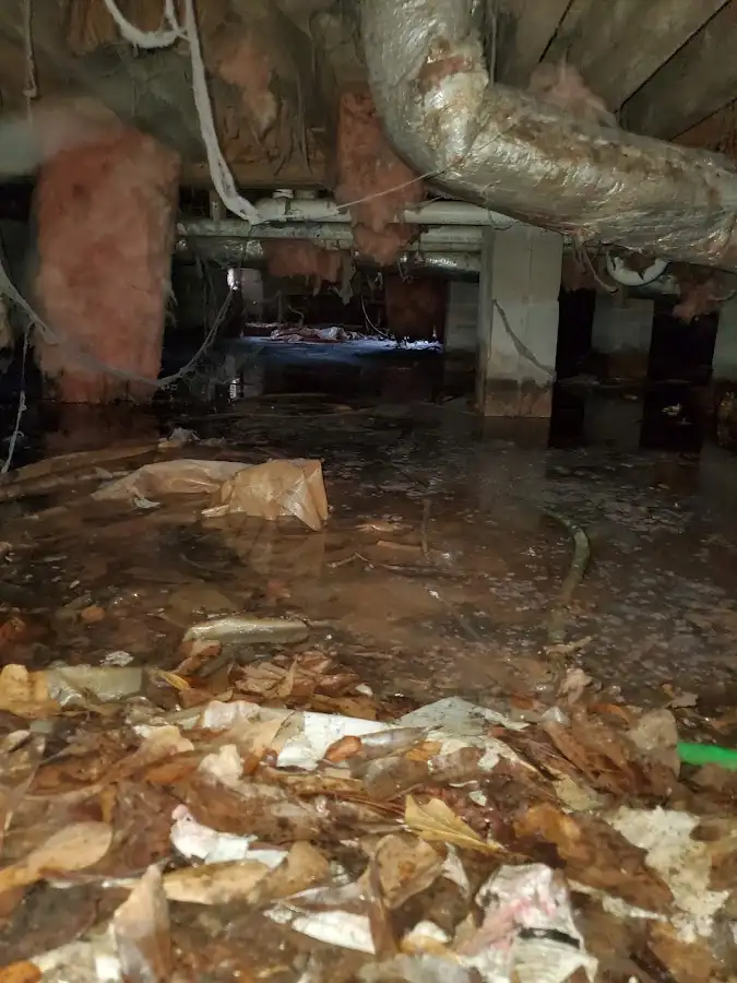 Crawl space flood assessment for Leak Detection & Repair in Maltby